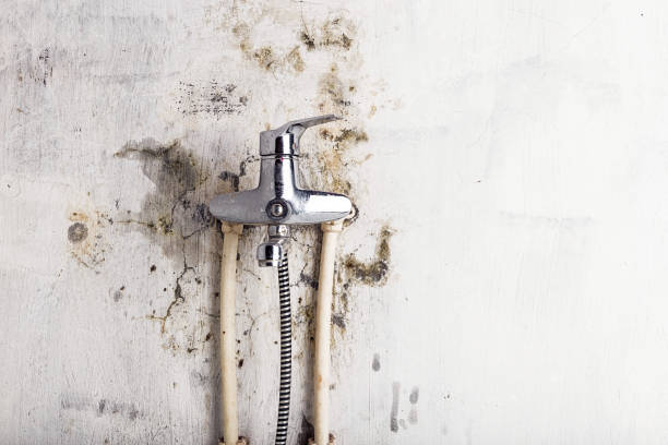 Best Mold Removal Process  in Strathmore, CA