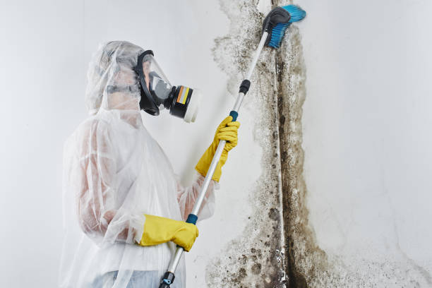 Best Mold Testing  in Strathmore, CA