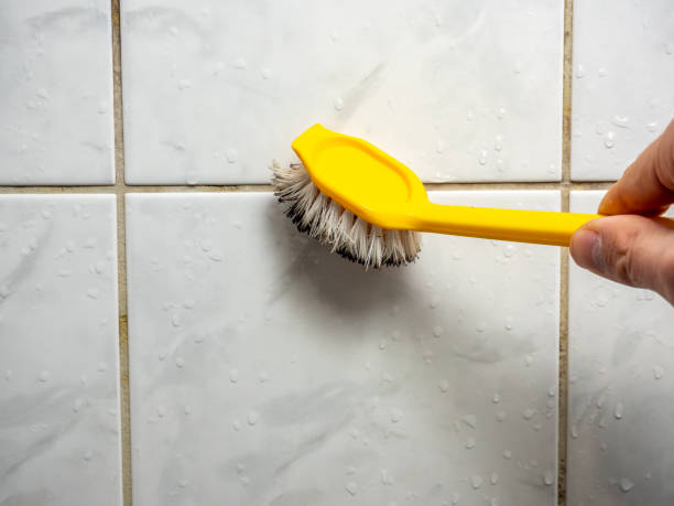 Best Same-Day Mold Removal  in Strathmore, CA