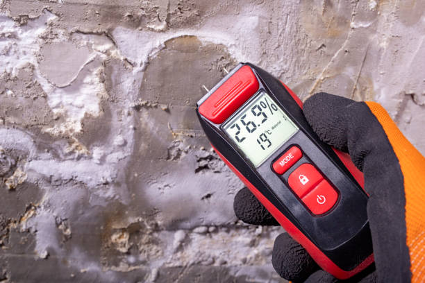 Mold Removal and Inspection in Strathmore, CA