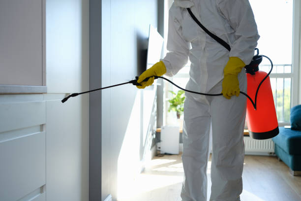 Best Certified Mold Removal  in Strathmore, CA
