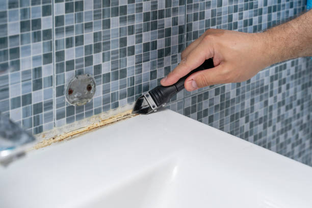 Best Mold Removal Company Near Me  in Strathmore, CA