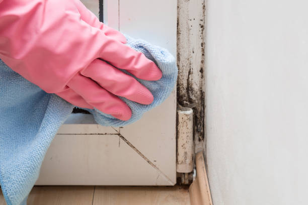 Best Local Mold Removal Service  in Strathmore, CA